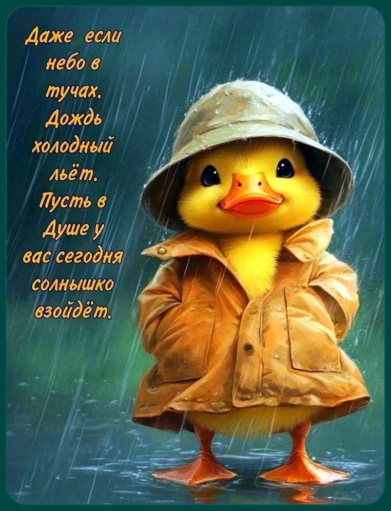 Милые открытки 😊 подписаться
