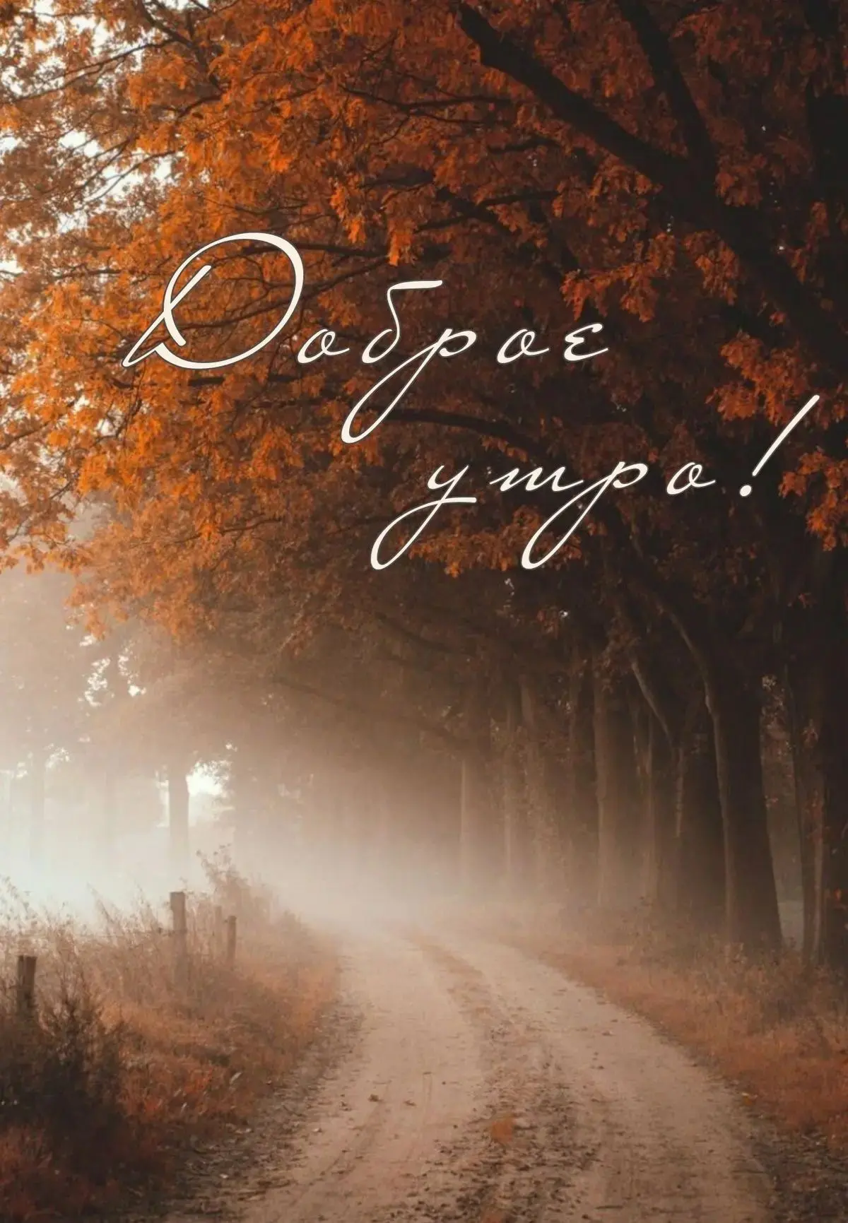 Доброе утро, девочки ☀️