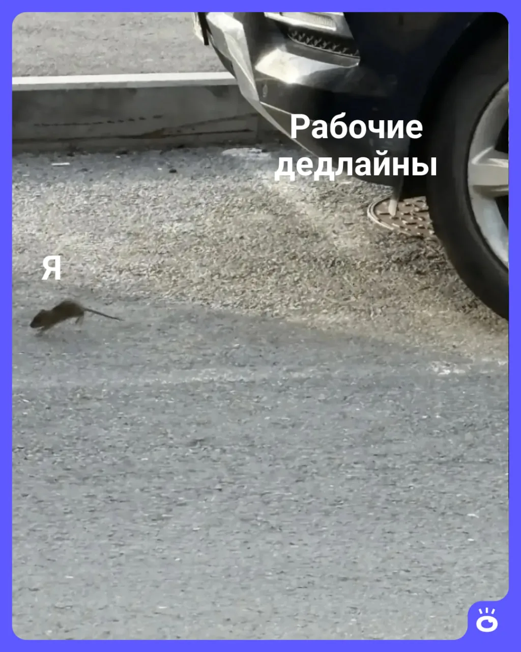 Сколько ни бегай, от работы все равно не убежишь 😄