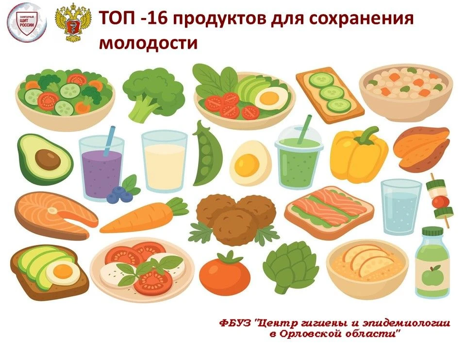 Питание – это основа, на которой строится наше здоровье и внешность.