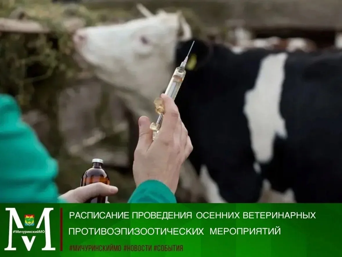 🐄Уважаемые жители Мичуринского округа! Информируем вас о расписании противоэпизоотичес...