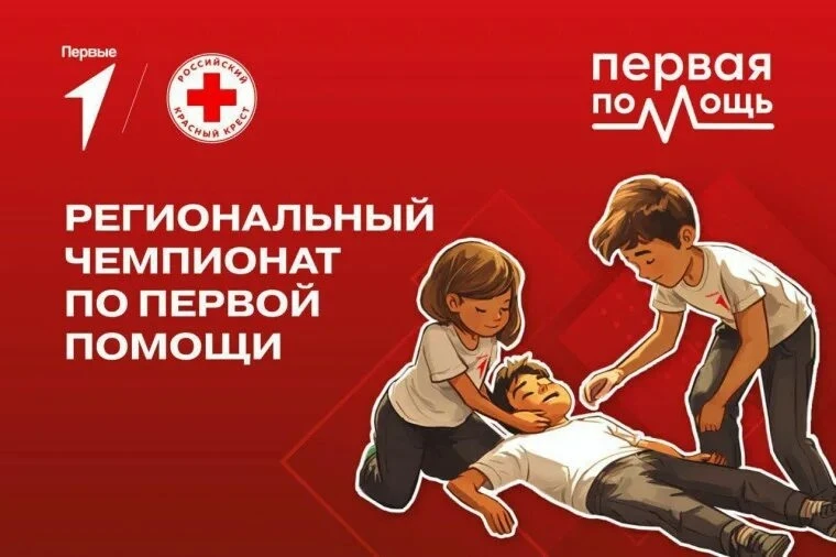 🔥 Когда теория встречается с реальностью — рождается настоящий навык! 🔥