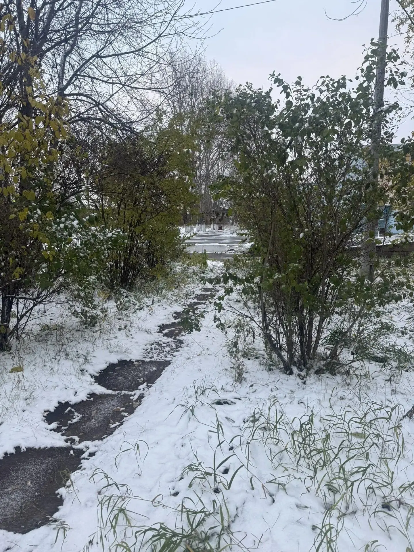 Доброе снежное октябрьское утро!