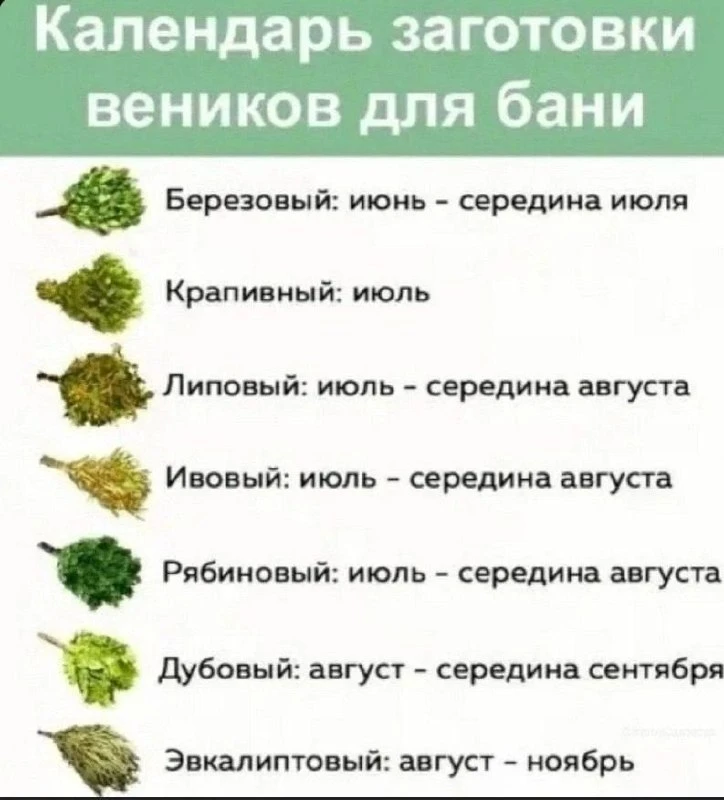 Teм, ктo цeнит бaню, этo бyдeт пoлeзнo.