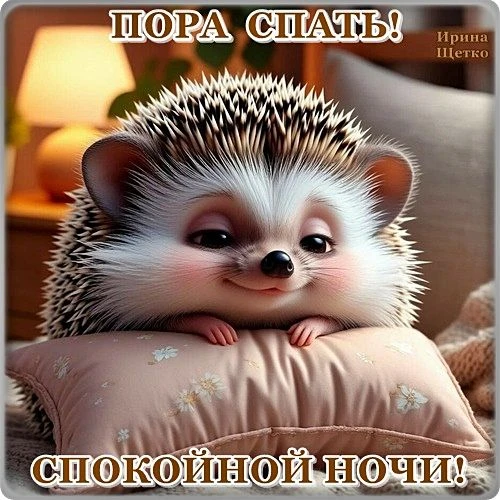 ЖИВЫЕ ОТКРЫТКИ🫶🏻