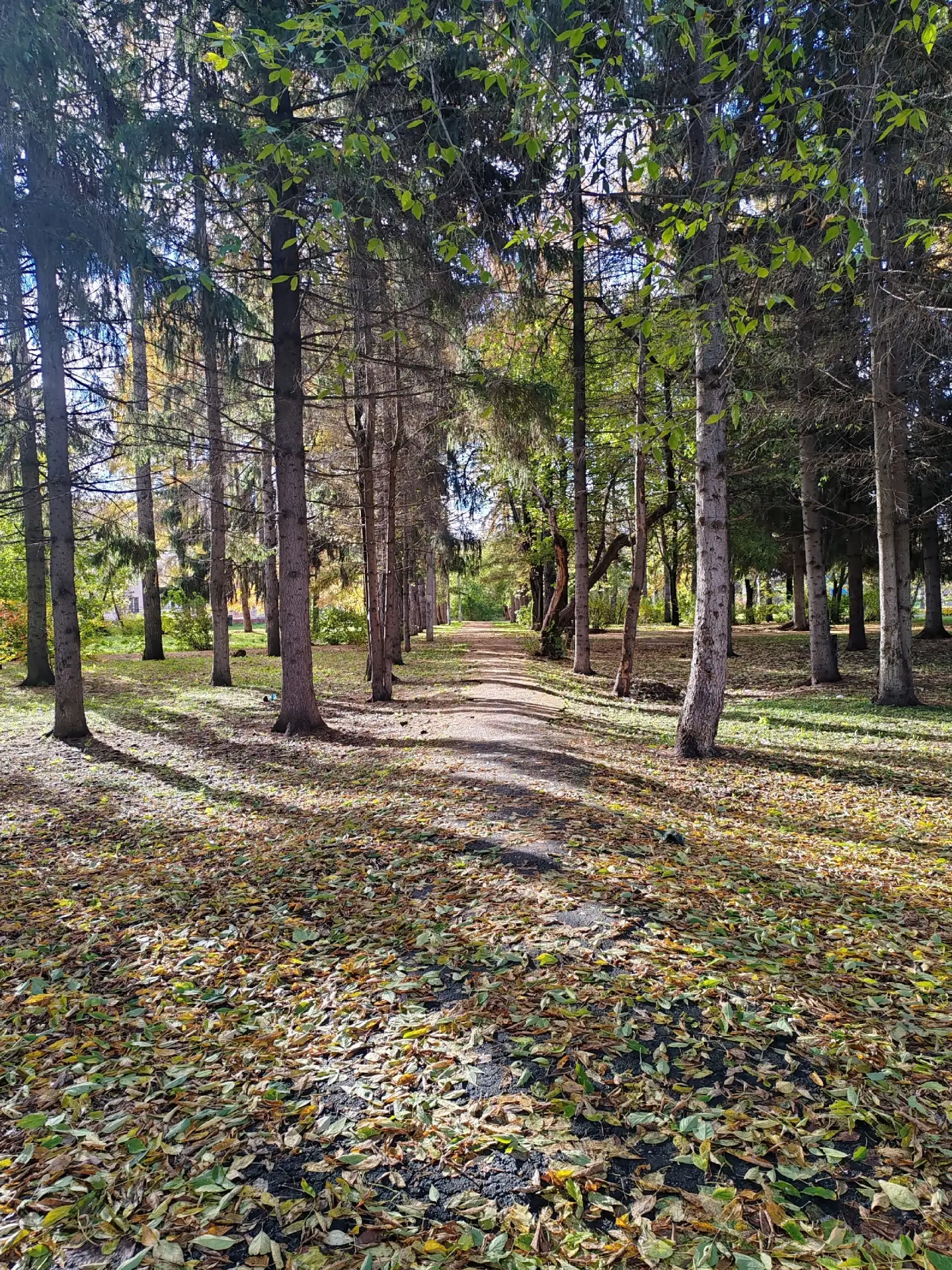 Осень в городе🍁