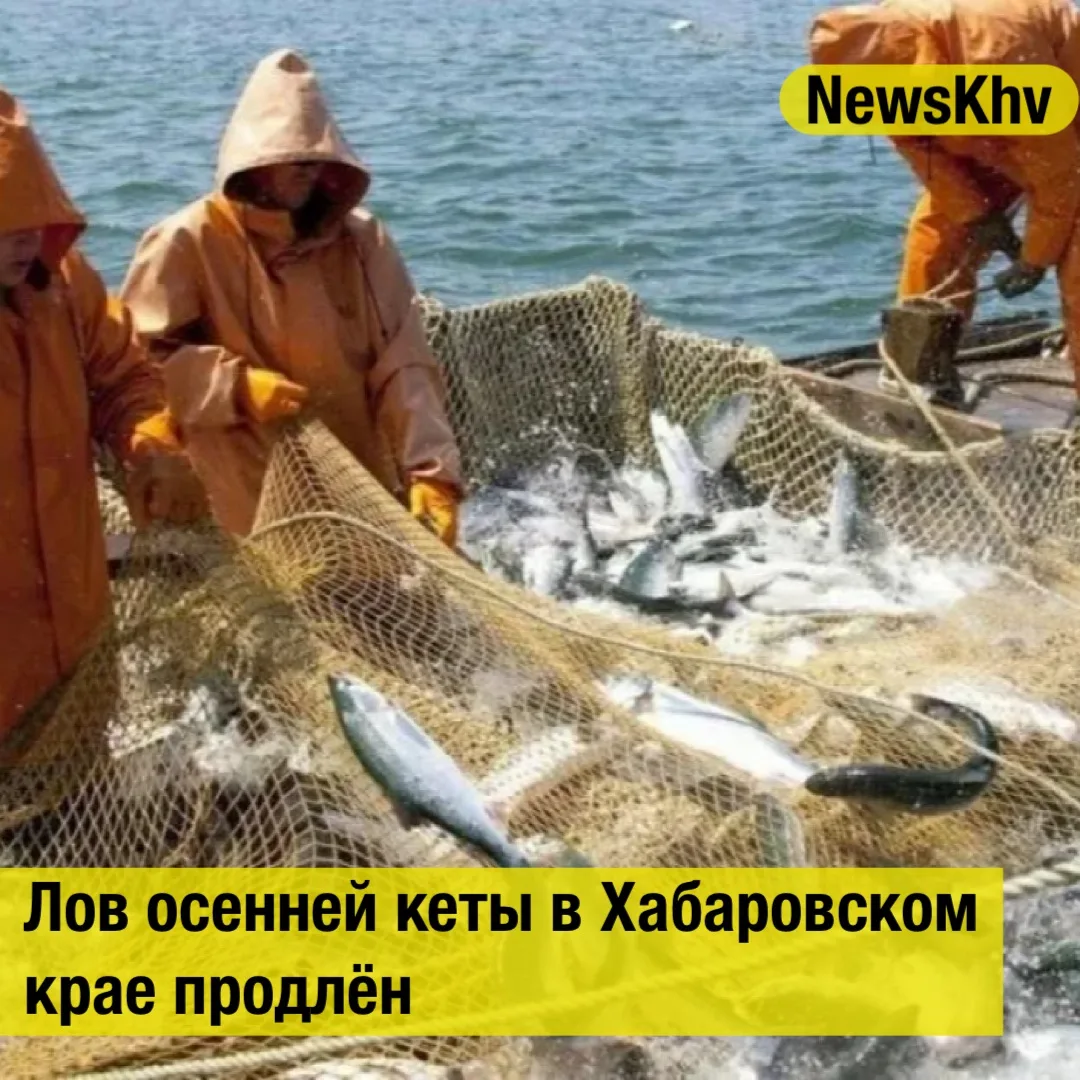 🐟 Лов осенней кеты в Хабаровском крае продлён