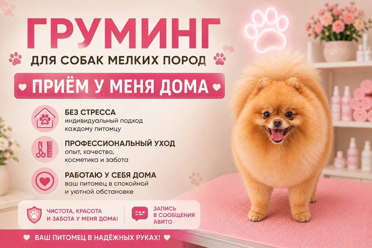 Индивидуальный подход к каждому питомцу
