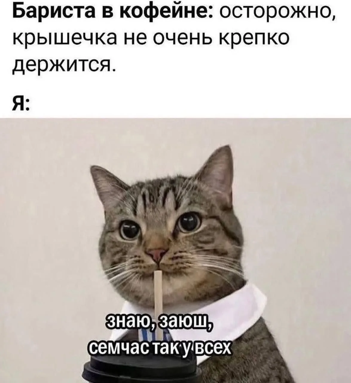 @memachh