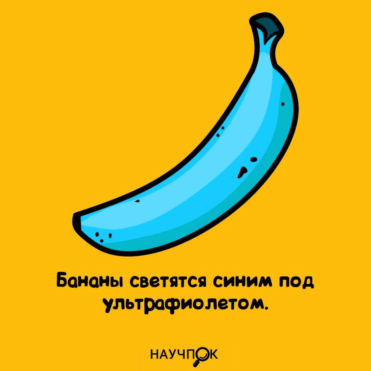 🍌 Бананы тайно неоновые.