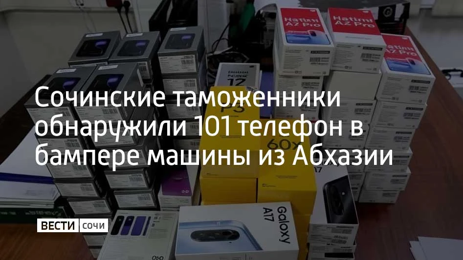 Сотрудники таможни Сочи обнаружили в автомобиле жителя Абхазии, который выезжал из Росс...