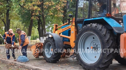 В Брянске умудрились совместить несовместимое: покос травы и уборку опавшей листвы