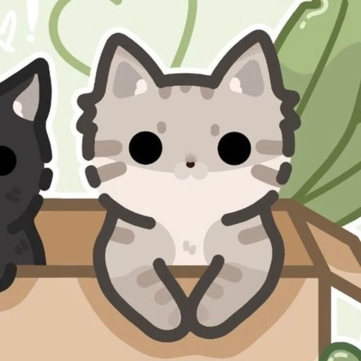 #коты