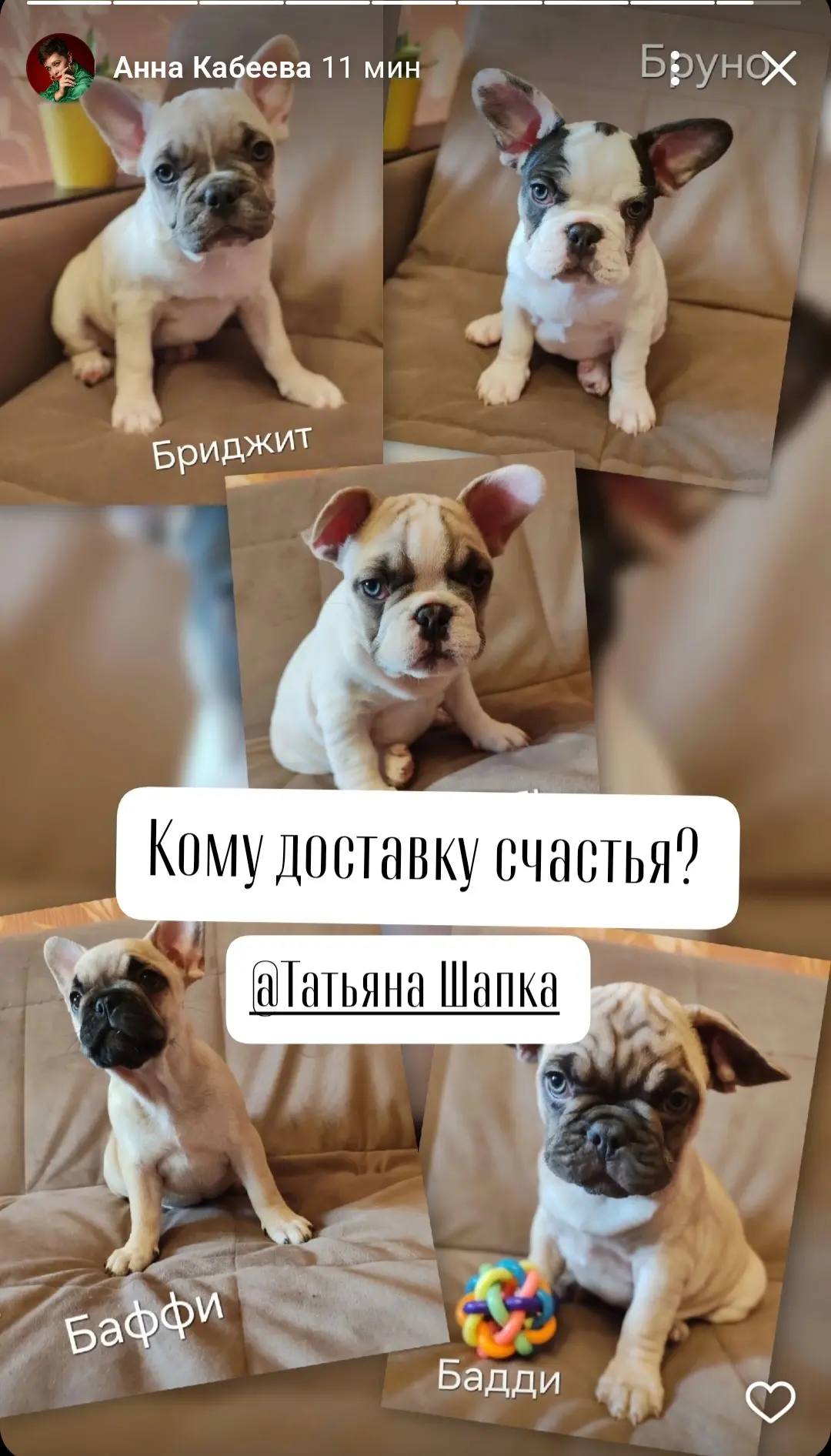 Ушки на макушке: акция уже началась! 🐕💨