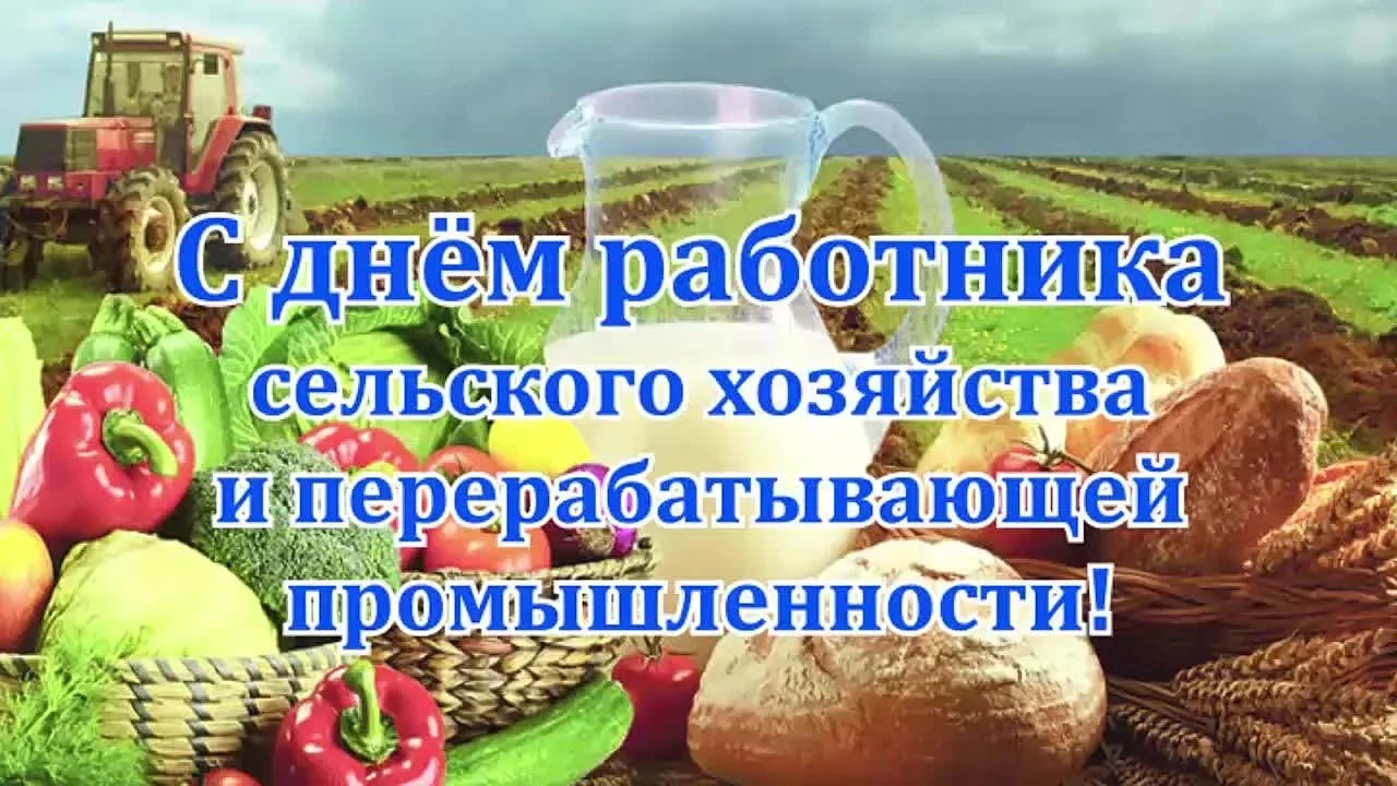 ✨С праздником, кормильцы!✨