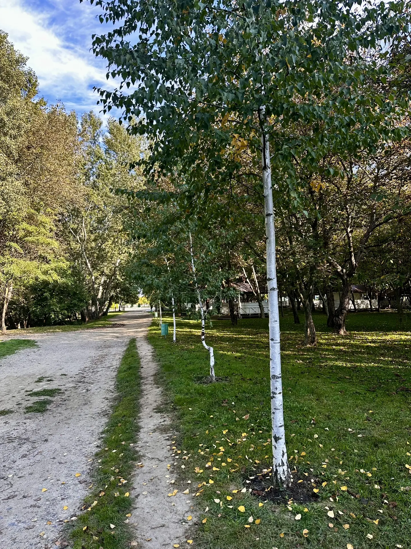 Это же просто подарок, а не погода! Если вы в городе - приходите завтра на тренировку, ...