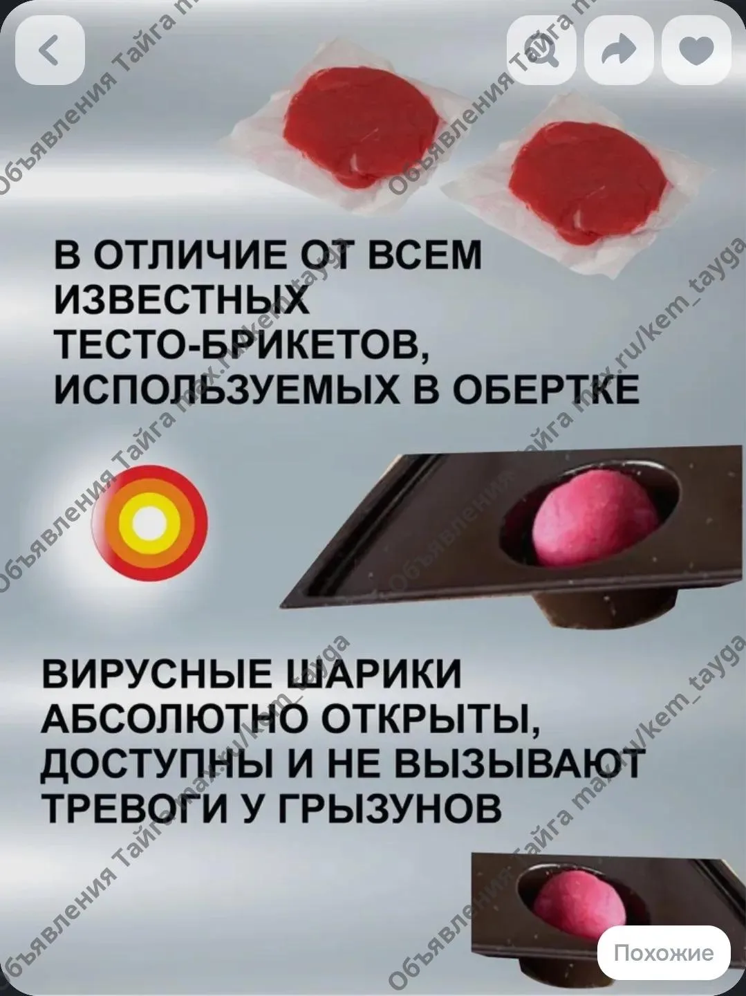 На ОКТЯБРЬСКОМ РЫНКЕ САДОВОД
