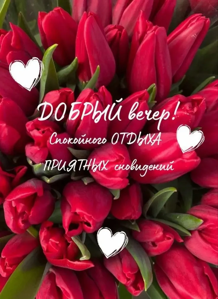 💐ЖИВАЯ СКАЗКА 💐