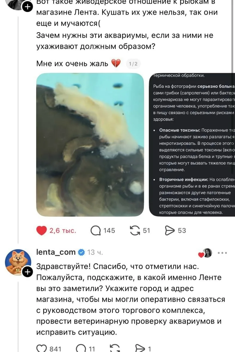 Покупатели пожаловались на состояние живой рыбы в «Ленте» на Маршала Жукова. В соцсетях...