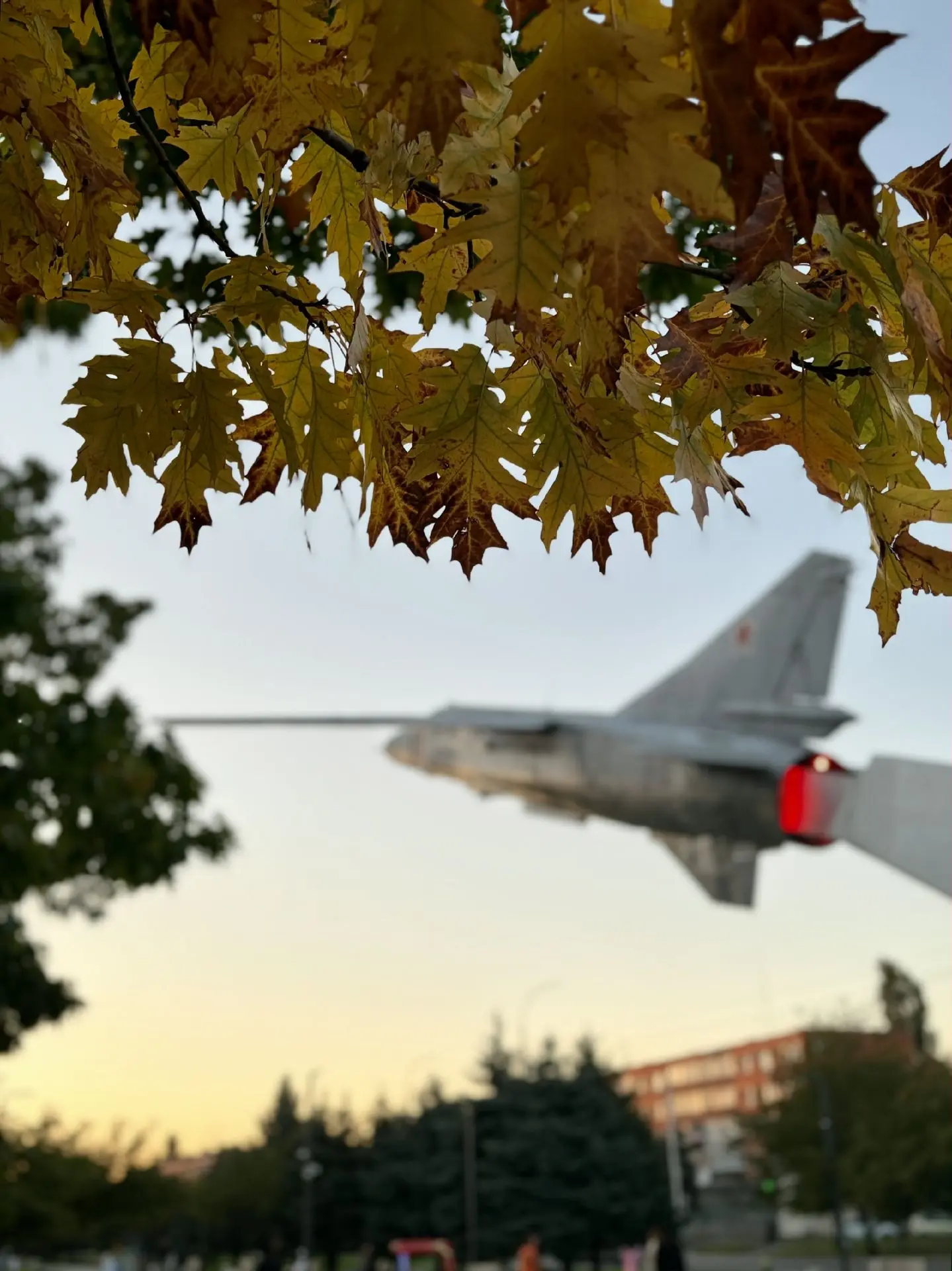 ⛅️ 16 октября в Адыгее облачно, возможен дождь. Температура воздуха в равнинной части +...
