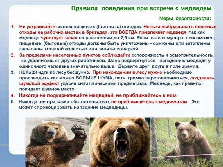 Не допускайте складирование пищевых отходов рядом с населенными пунктами. Запах пищи пр...