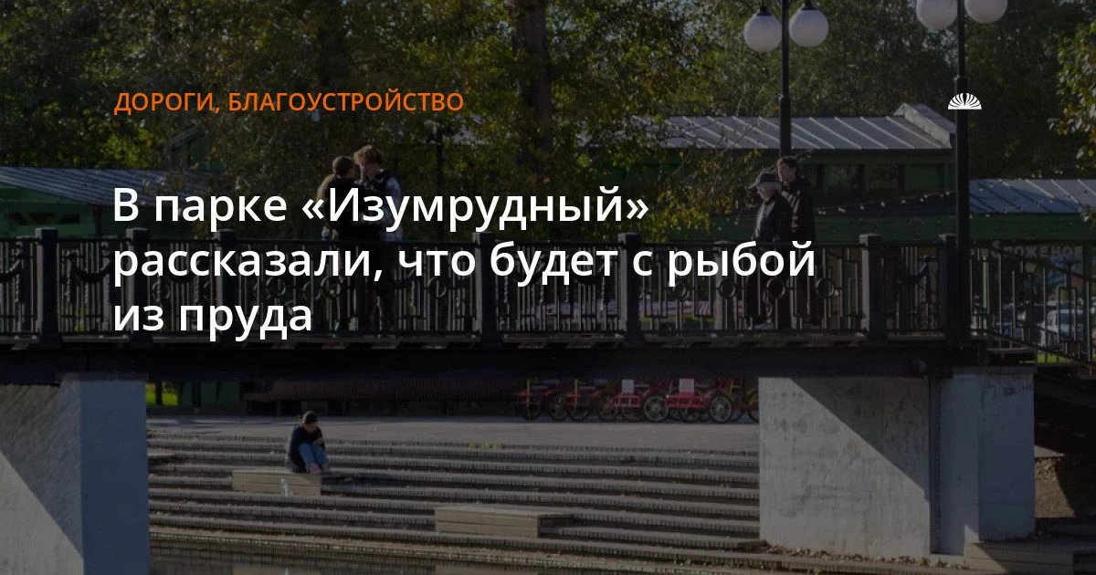 В парке «Изумрудный» рассказали, что будет с рыбой из пруда