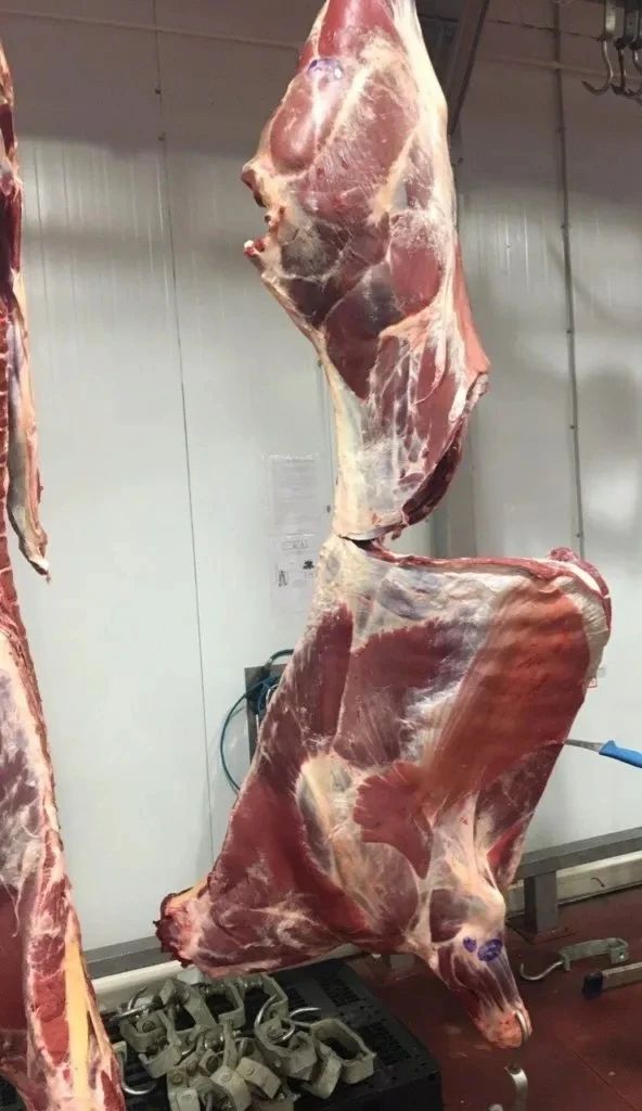 Продам свежое мясо оленина  есть в наличии писать в лс