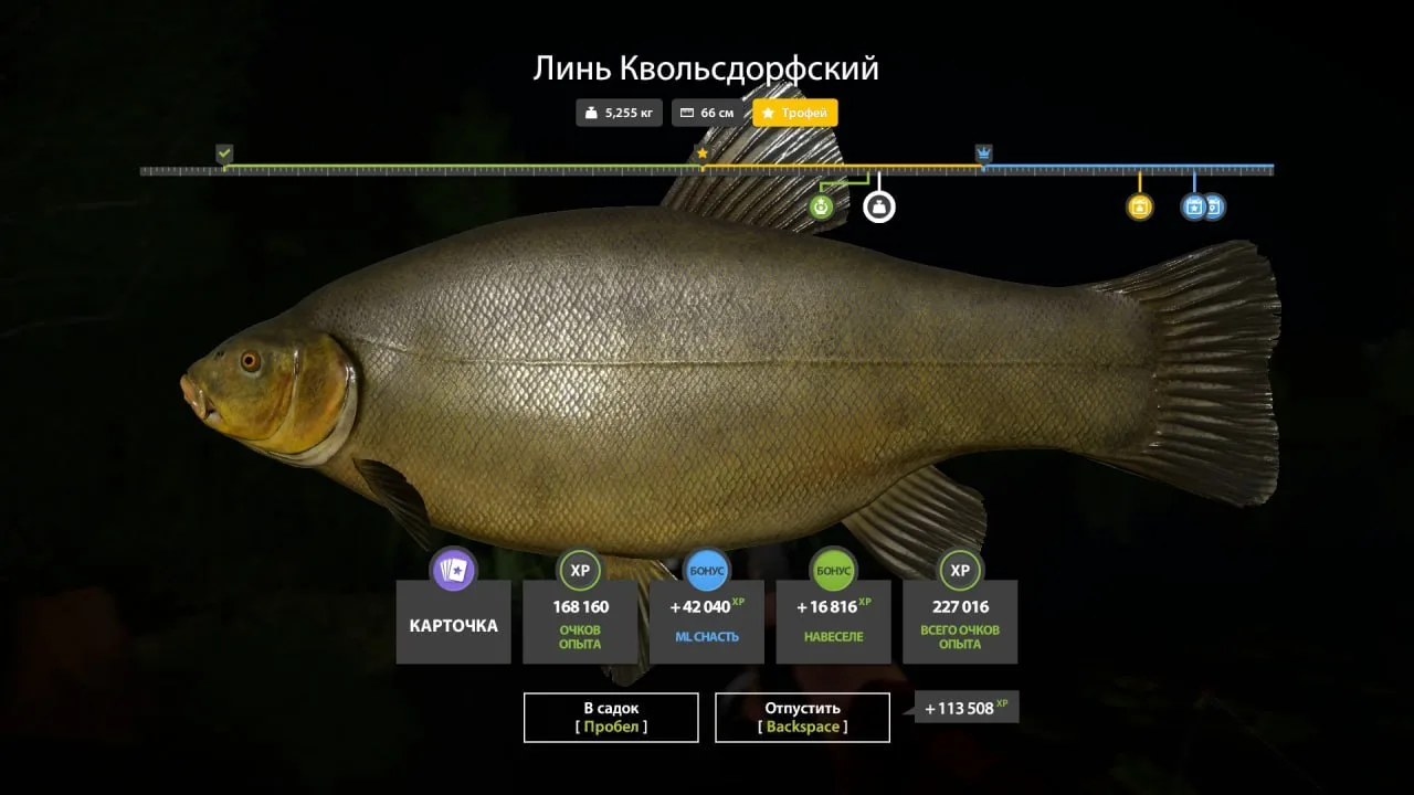 #медное@RF4_Vkluchite_klev
