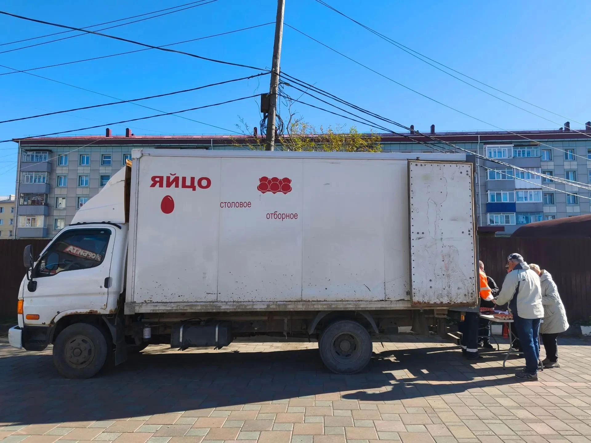 🐔 Поронайцы 14 октября смогут приобрести яйца от "Островной" птицефабрики
