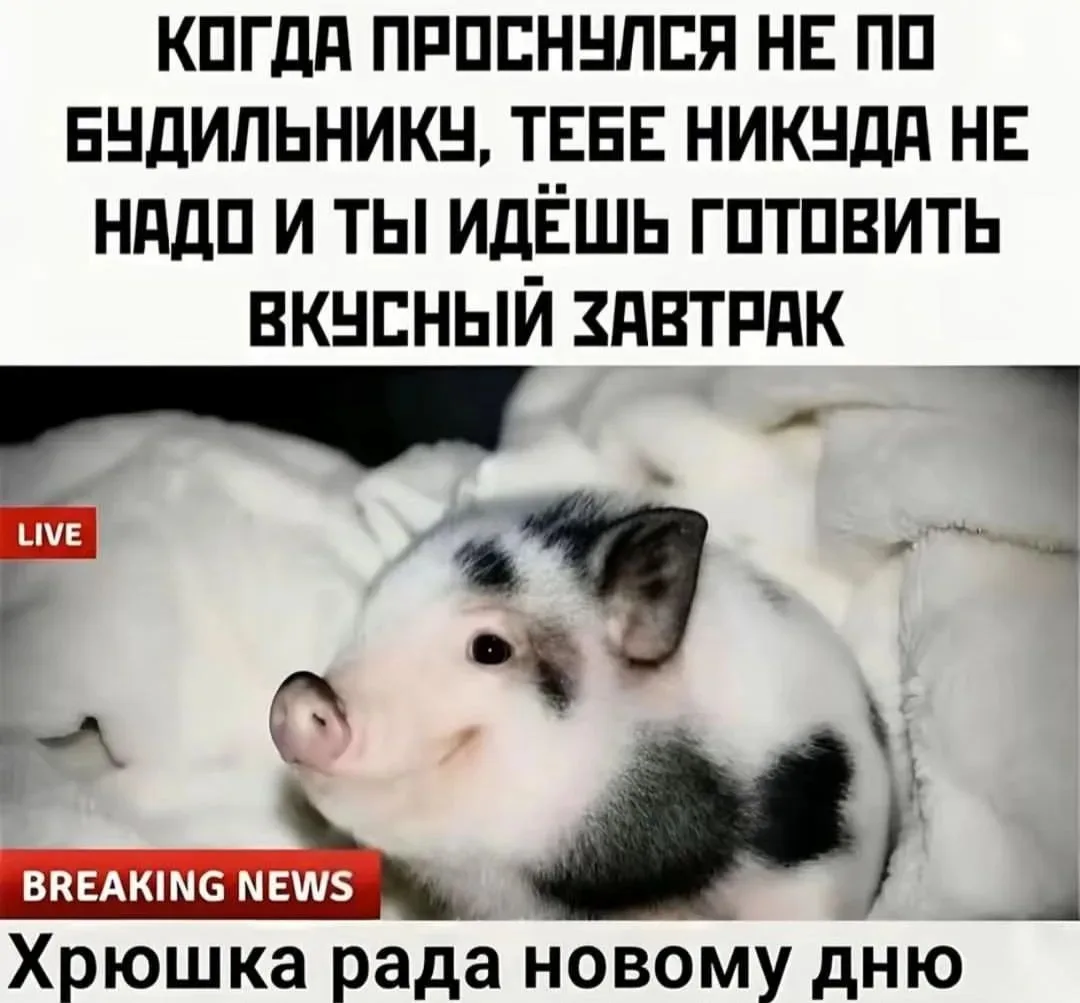 С добрым утром!