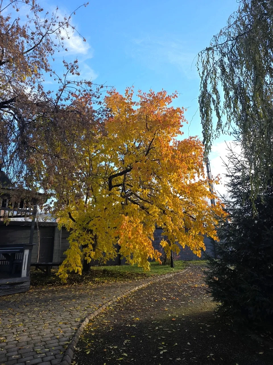 Золотая осень в усадьбе Трубецких 🍁🍁🍁