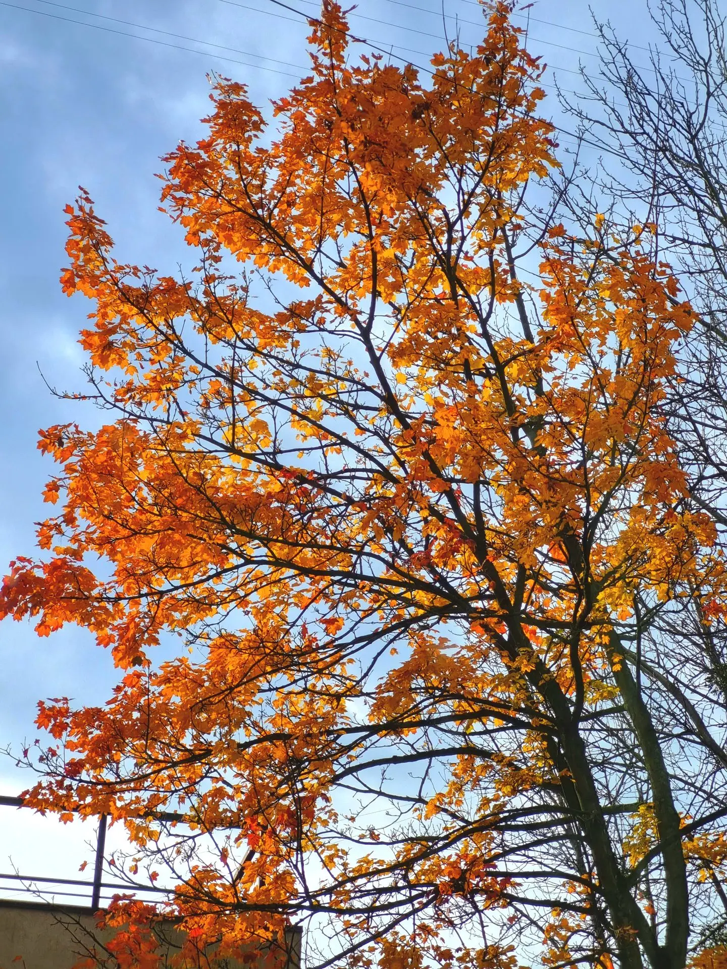 🍂Чек-лист на октябрь: самое время наслаждаться золотой осенью