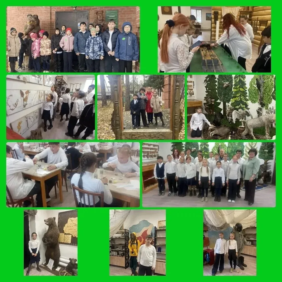 🌲 Сказочное путешествие в Музей леса!