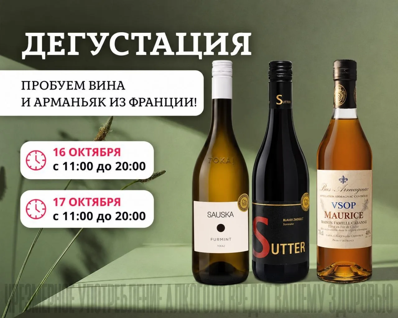Дегустации в КуулКлевер Сомелье 16 и 17 октября