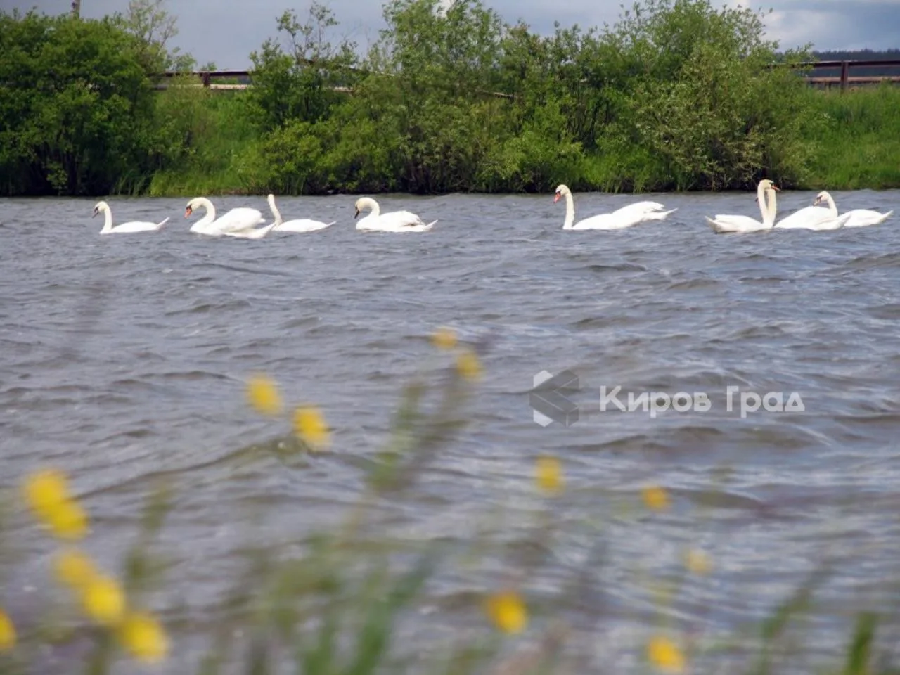 Удивление — главная эмоция всех участников квеста «Вятка на ладони» 👀