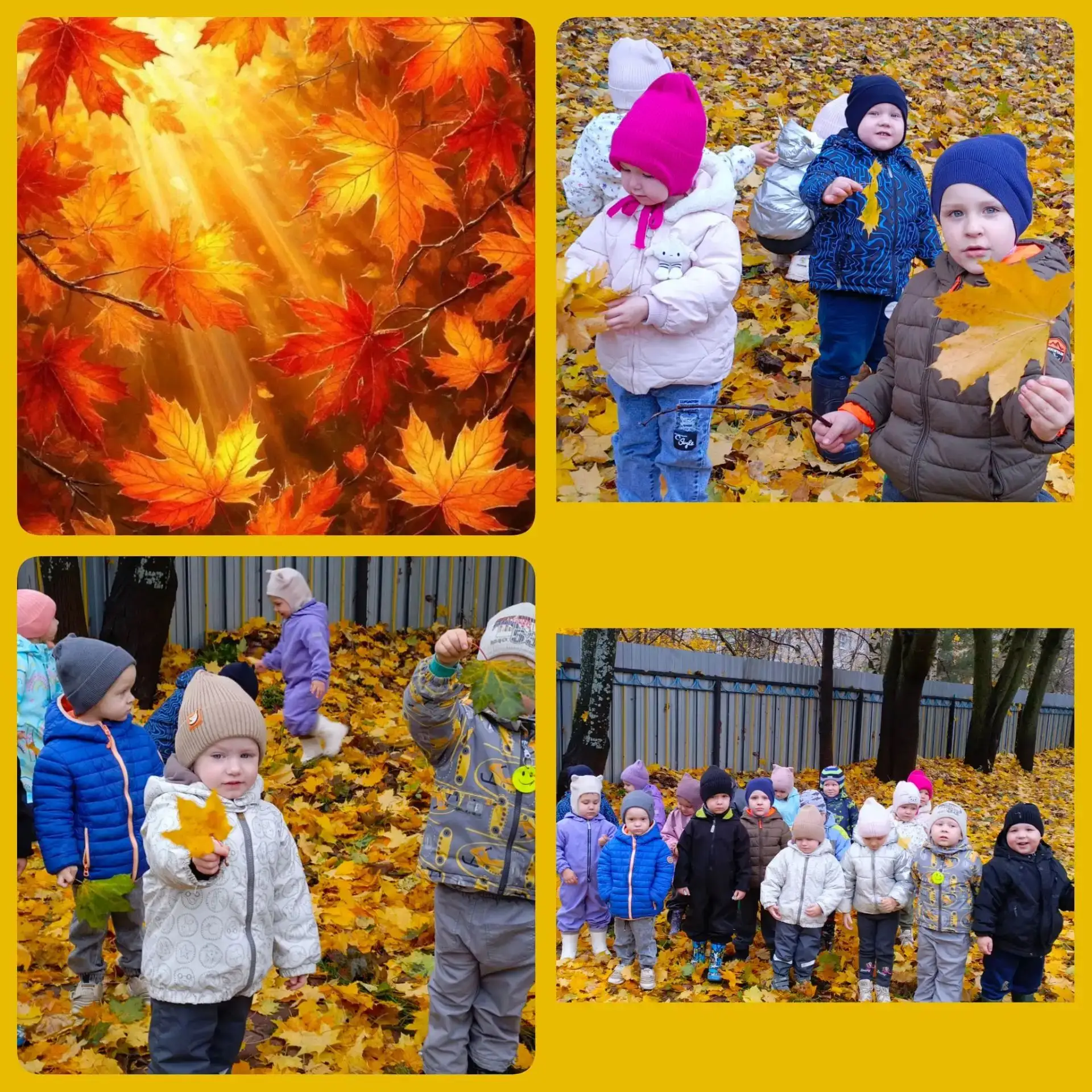 Осенний день, наполненный шуршанием! 🍂