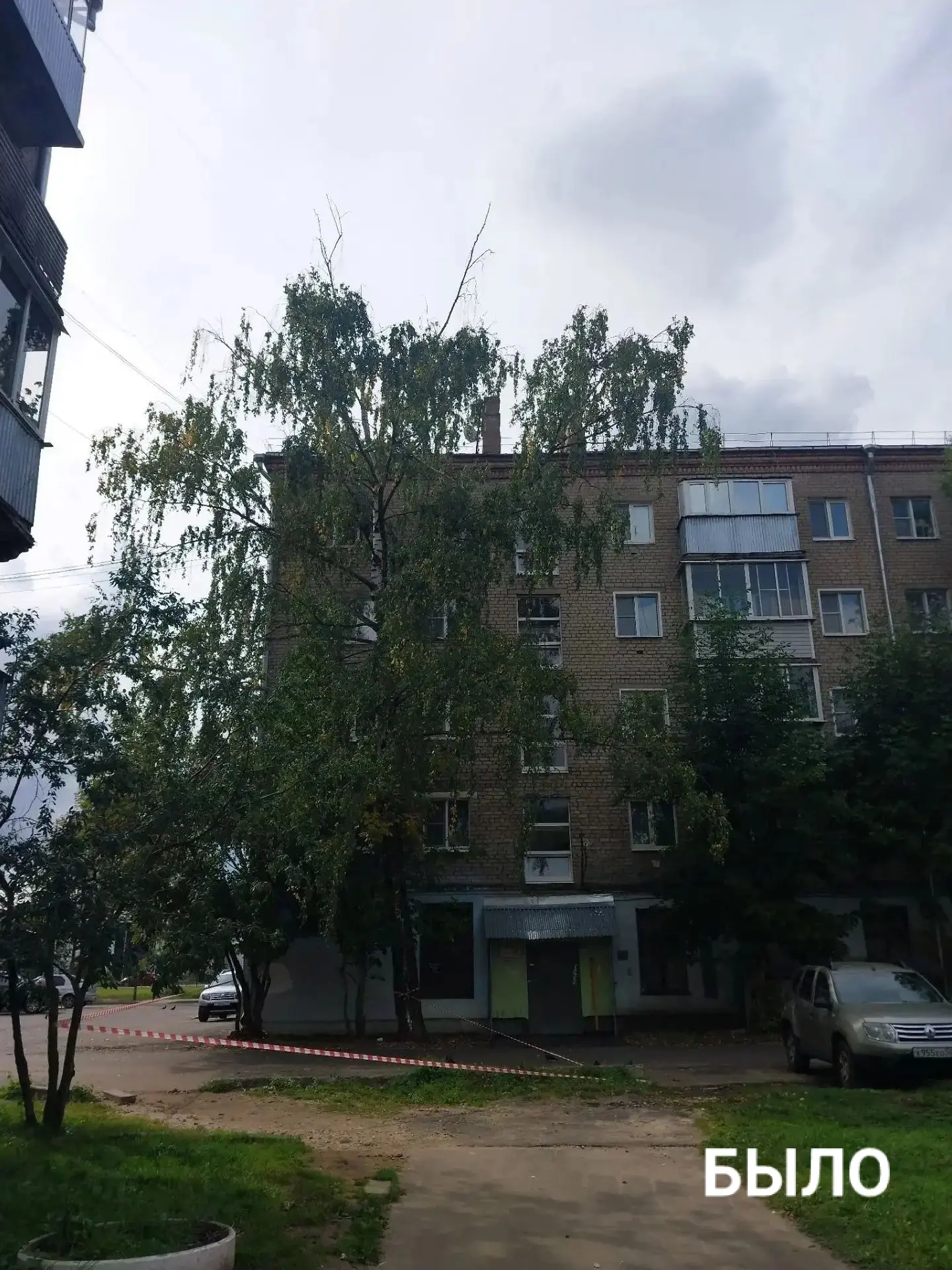 🌳 Аварийное дерево у дома № 8 на ул. Коммунистическая спилили!