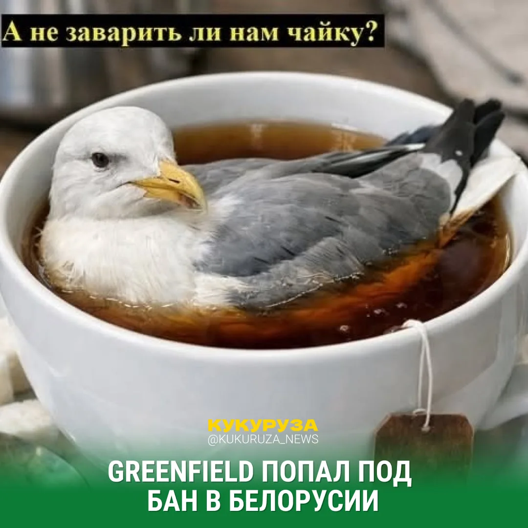 Один из чаёв Greenfield запретили продавать у наших белорусских товарищей — в нём нашли...