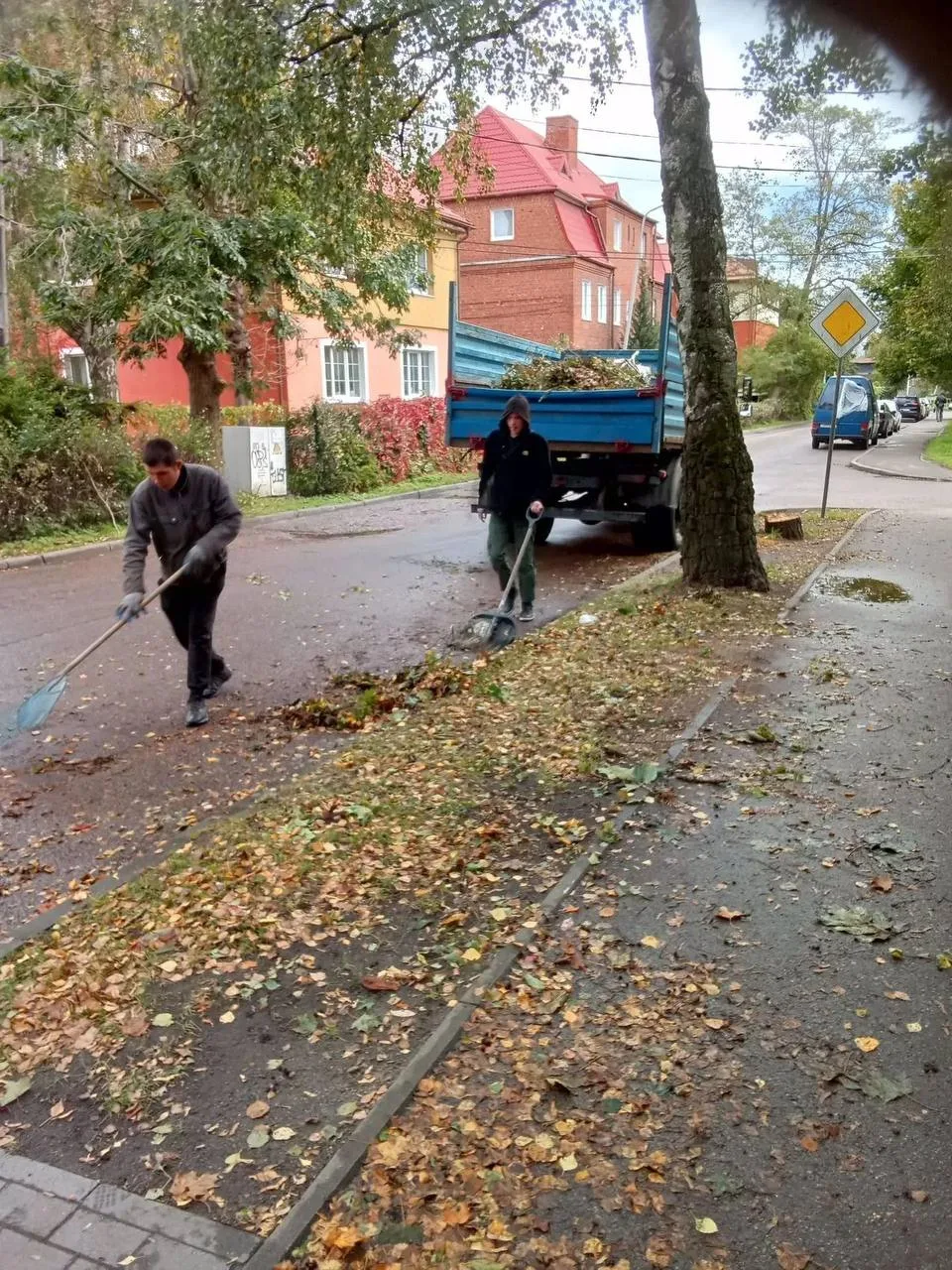 Осень принесла дожди, ветра и листопад, традиционно прибавив работы коммунальным службам.
