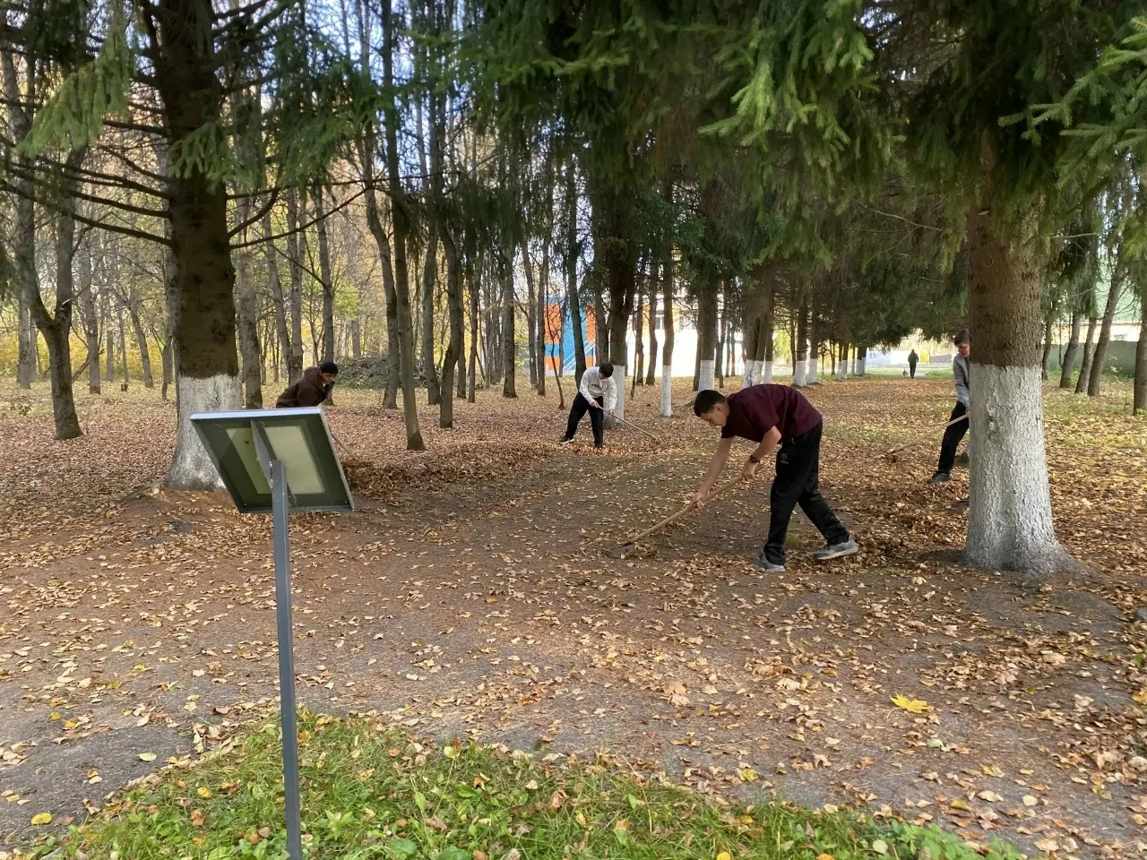 📸 Юные архангельцы берегут память о героях​