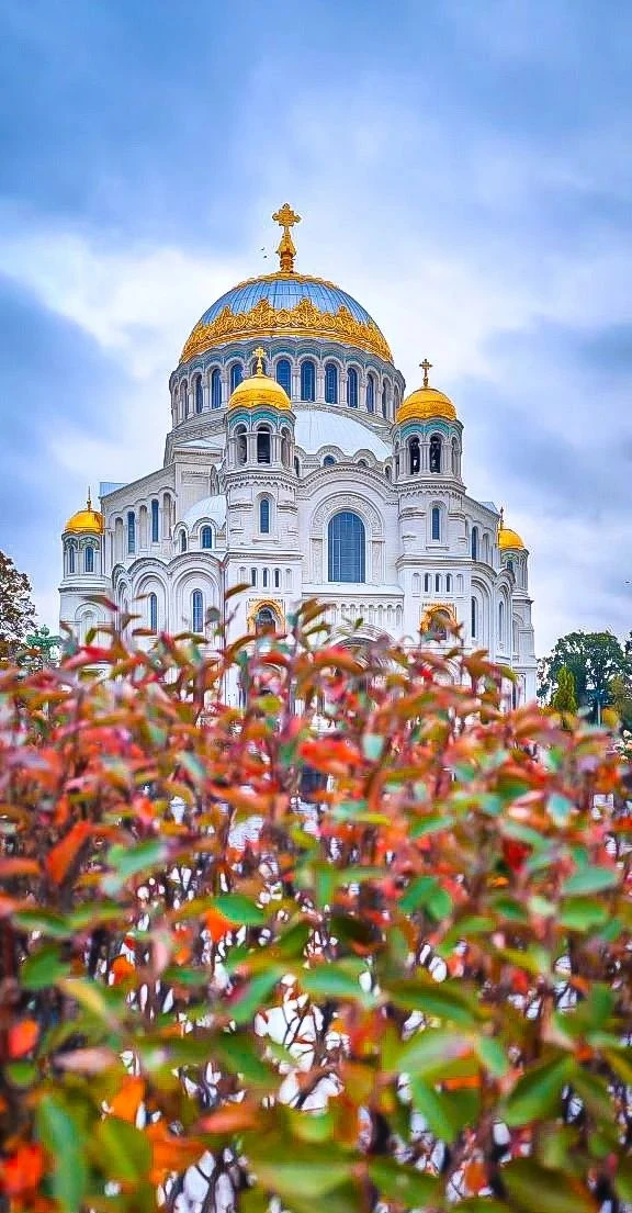 И это тоже осень🤩✨💫
