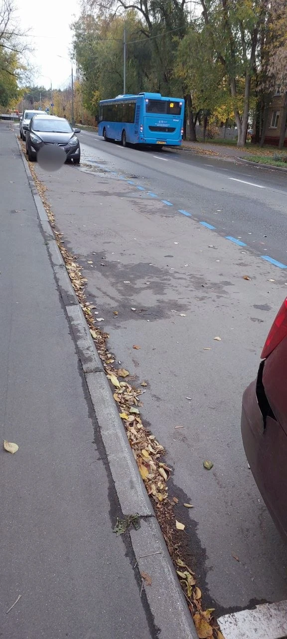 Жители делятся обновлениями в районе 👀