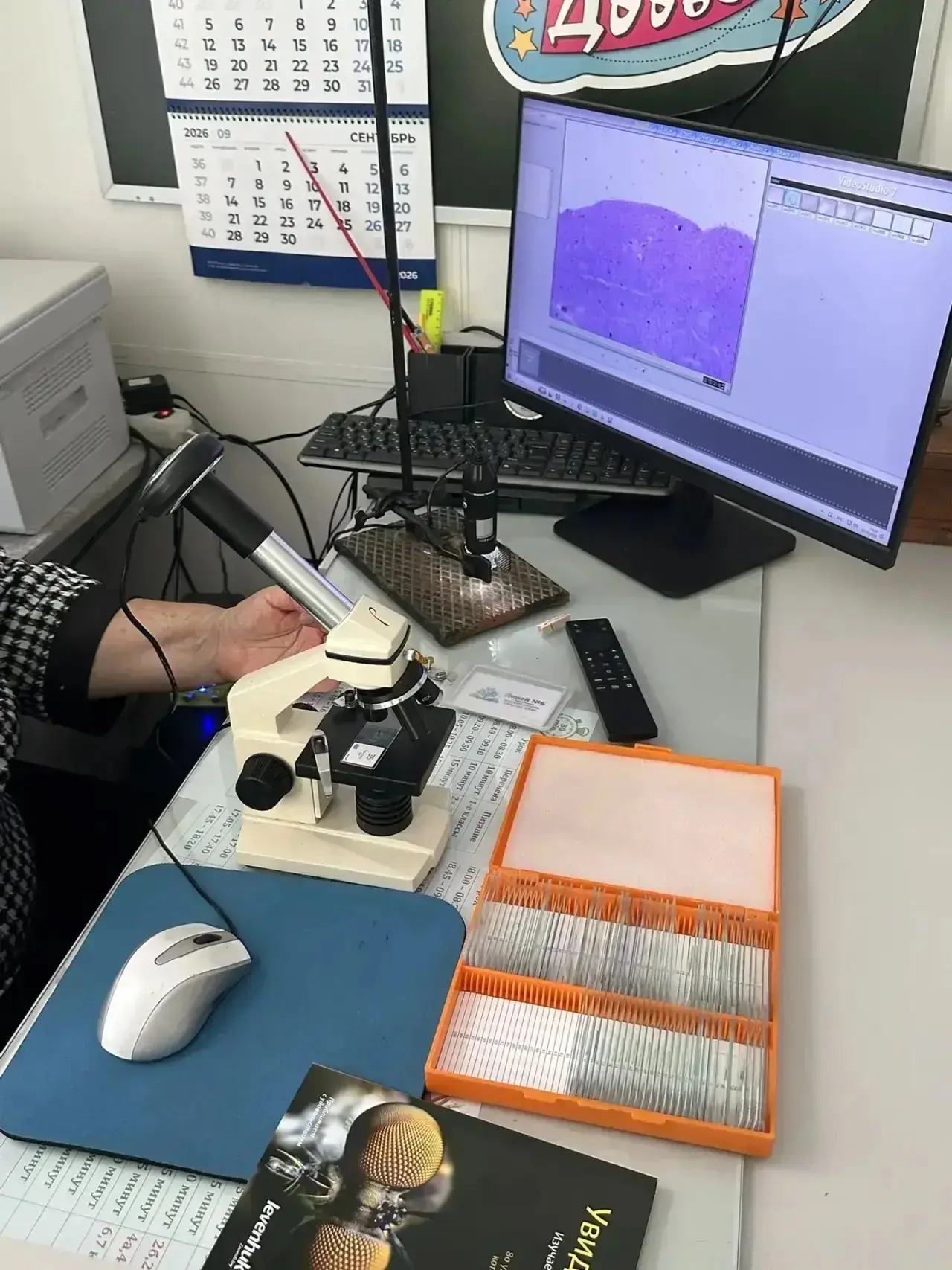 🔬 От любопытства — к открытиям! Учимся исследовать, наблюдать и мыслить!