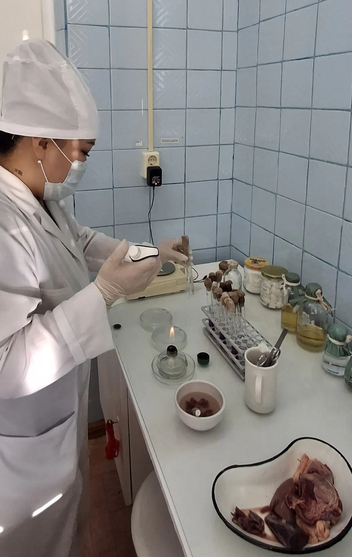 В селе Никольцы Намского улуса начал работу убойный цех. Теперь мясо и субпродукты, про...