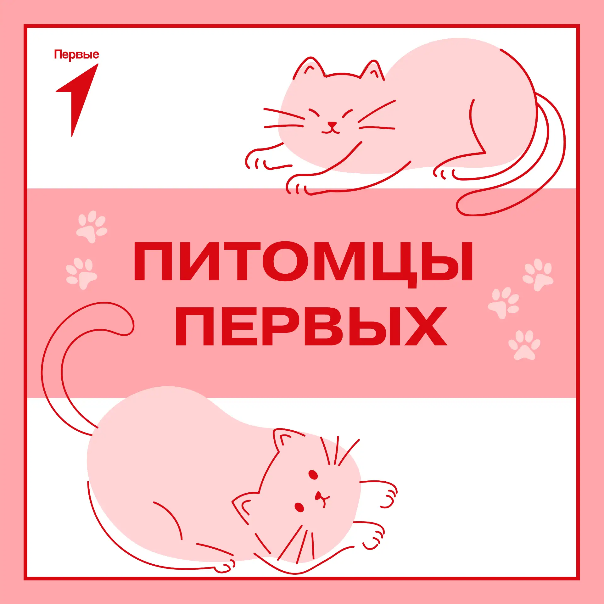 Первые и их любимцы!