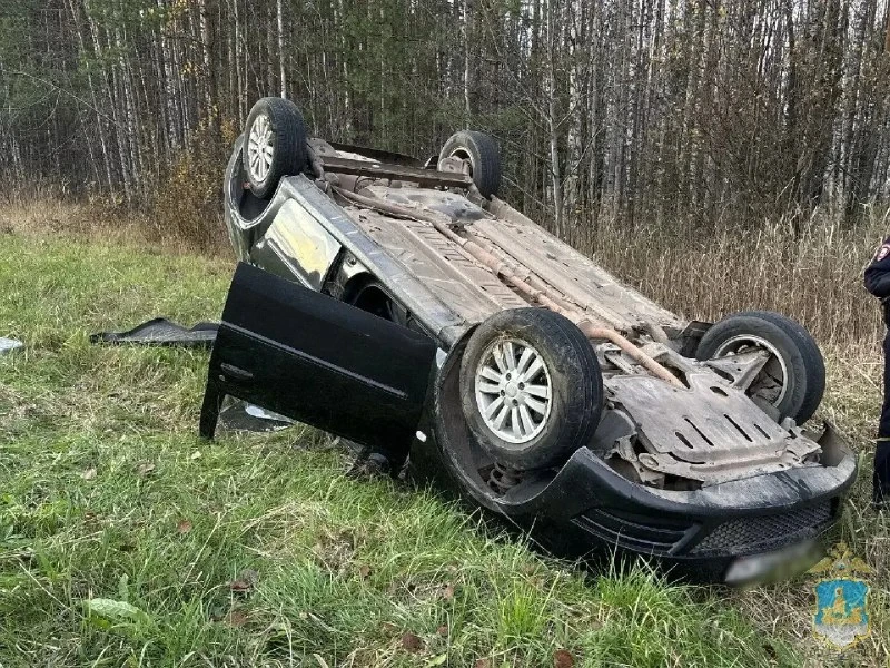 В Мантуровском районе Renault вылетел в кювет и перевернулся. Водитель не справился с у...