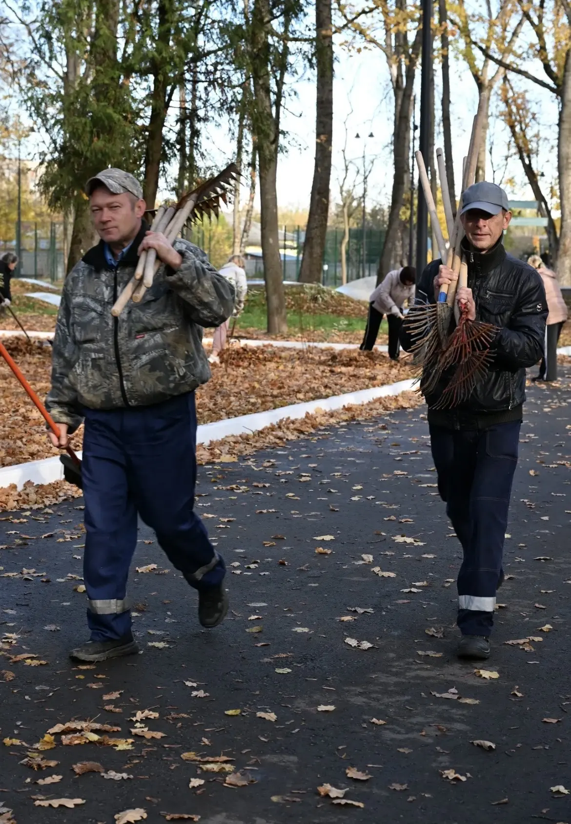 📸 В Щекинском районе прошел субботник по уборке опавшей листвы​