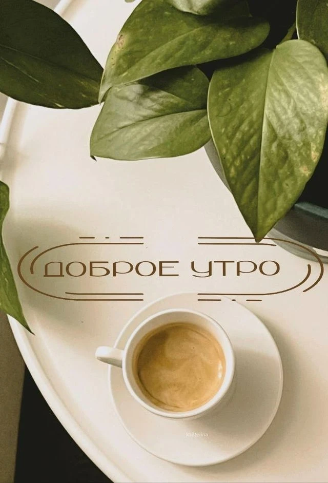 Доброе утро! ☀️Начинать день правильно — значит делать шаг навстречу своим целям. Если ...