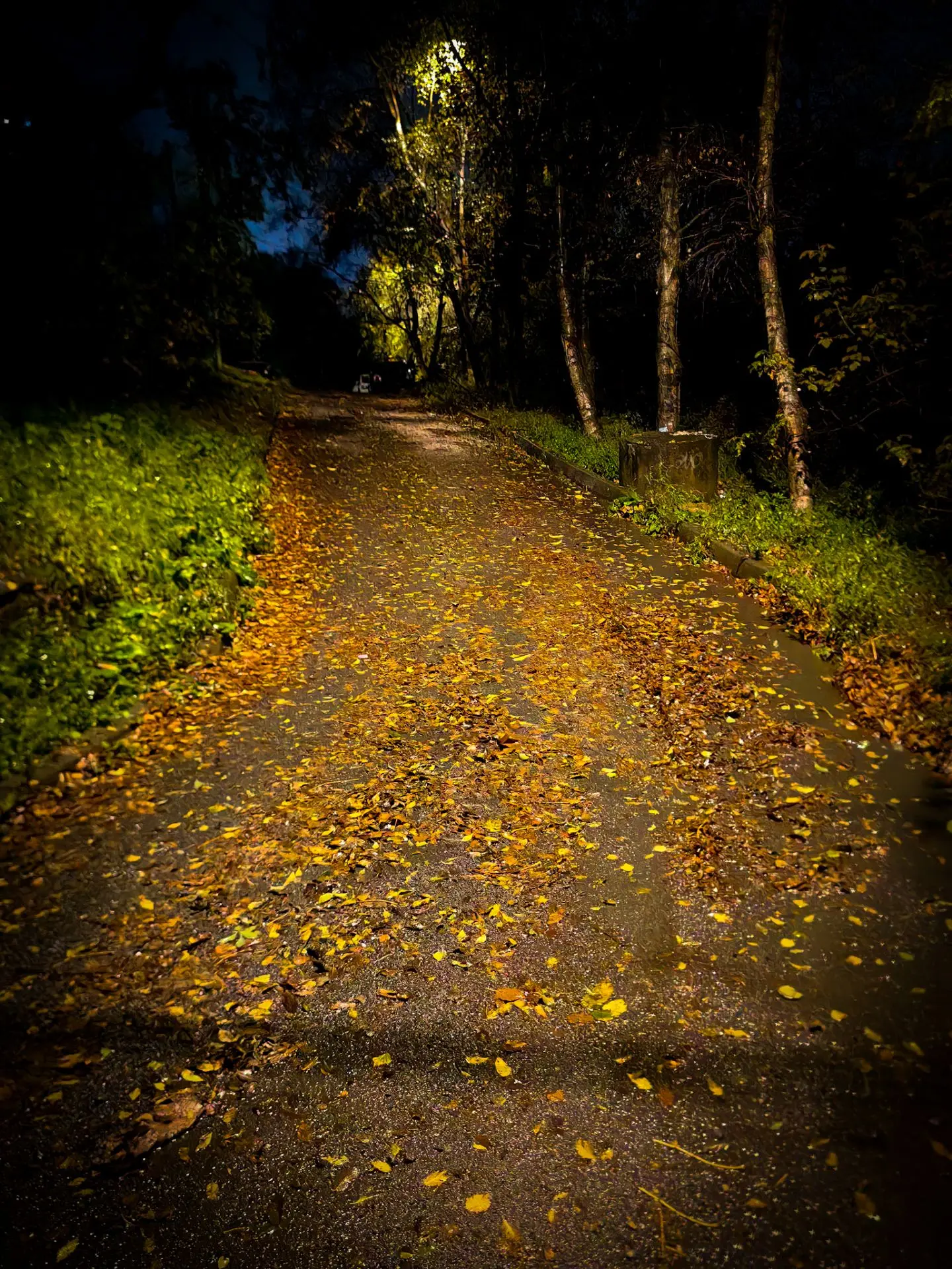Фото