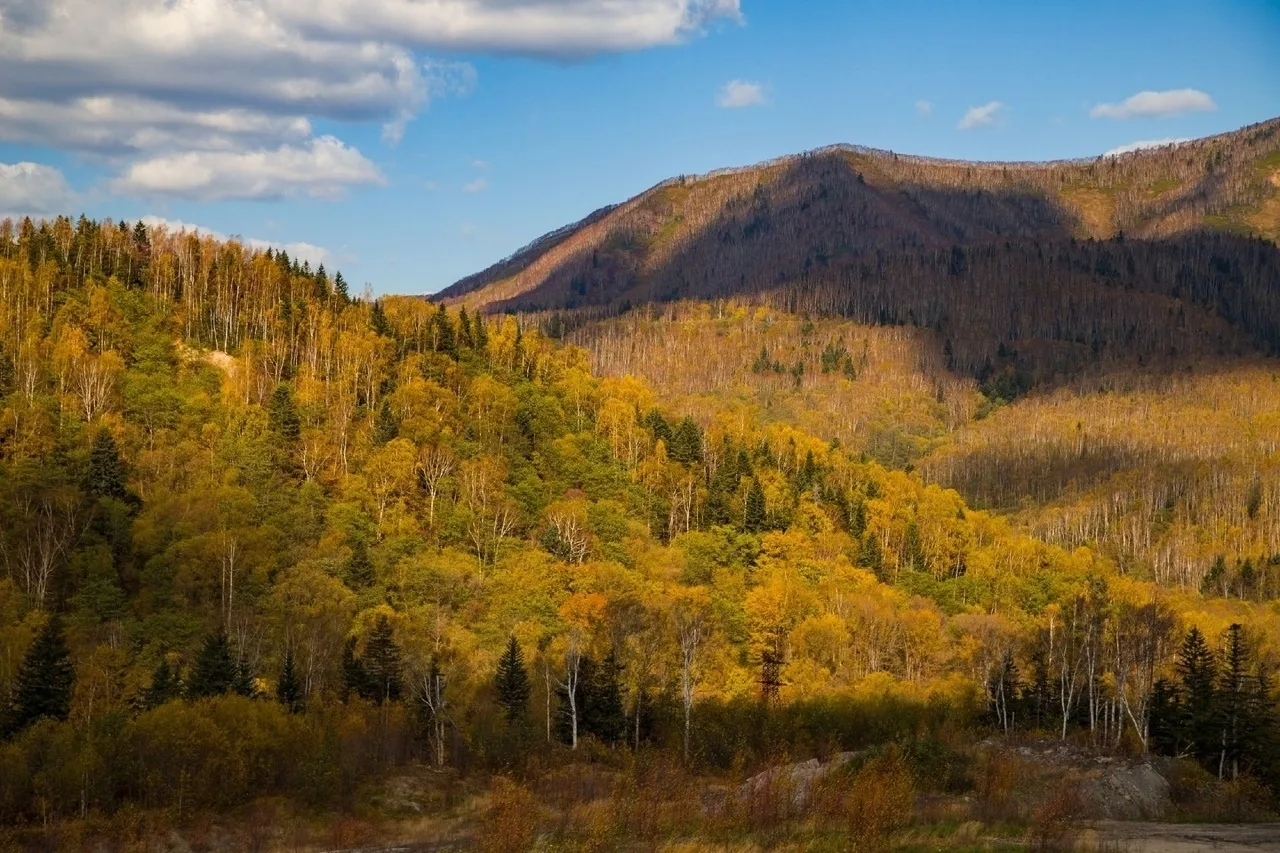 Золотая осень 🍂
